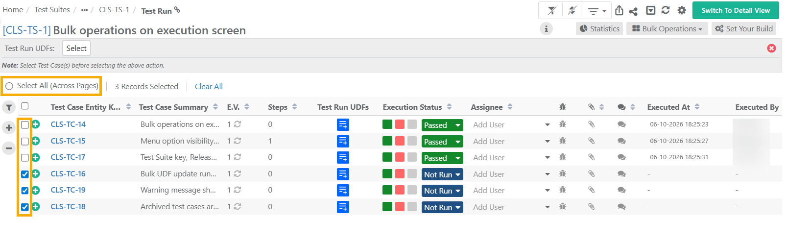 QPro_TS_Bulk_Update_Test_Run_UDFs.png